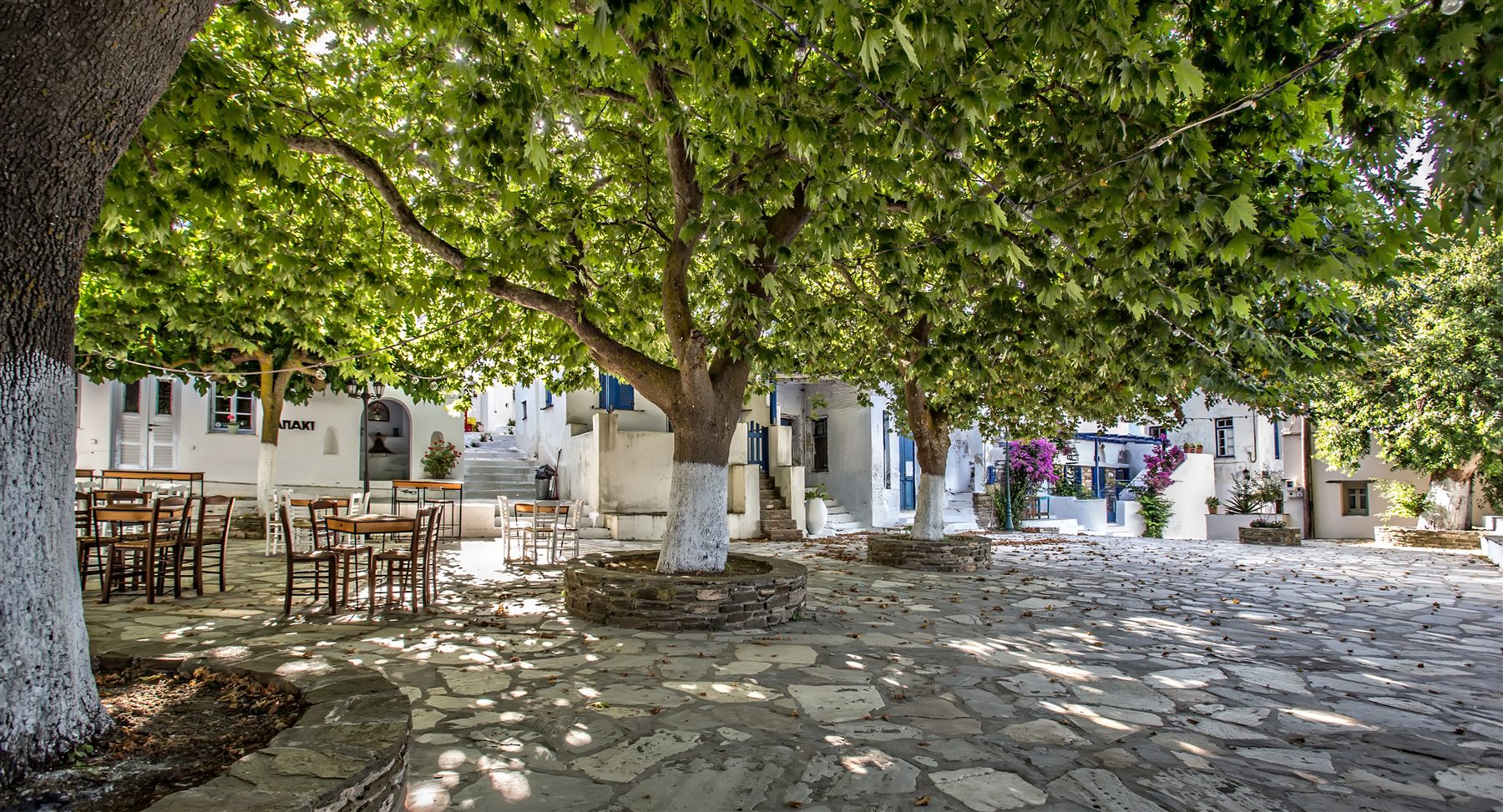 The plane-shaded village square at Dyo Choria