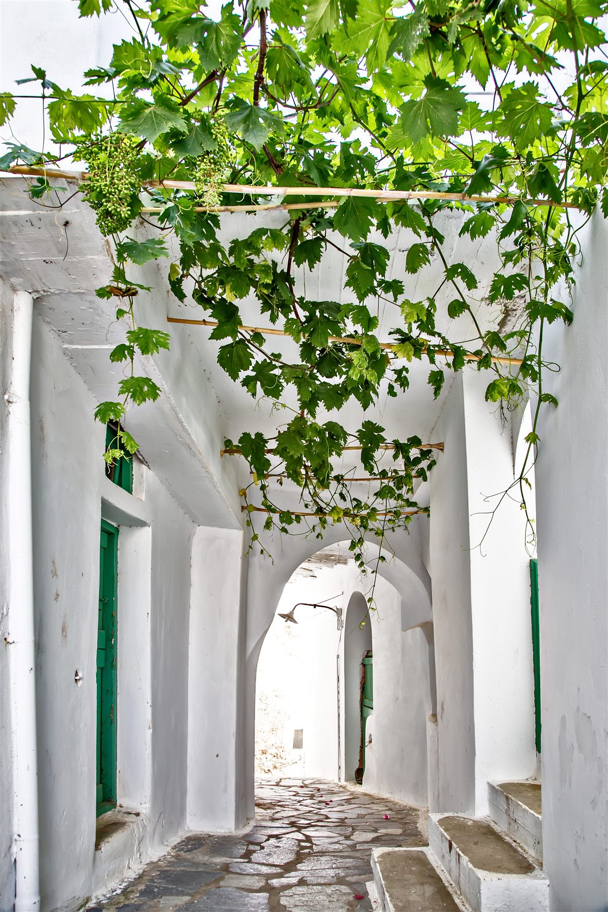 A whitewashed vine-shaded alley in a Tinos village